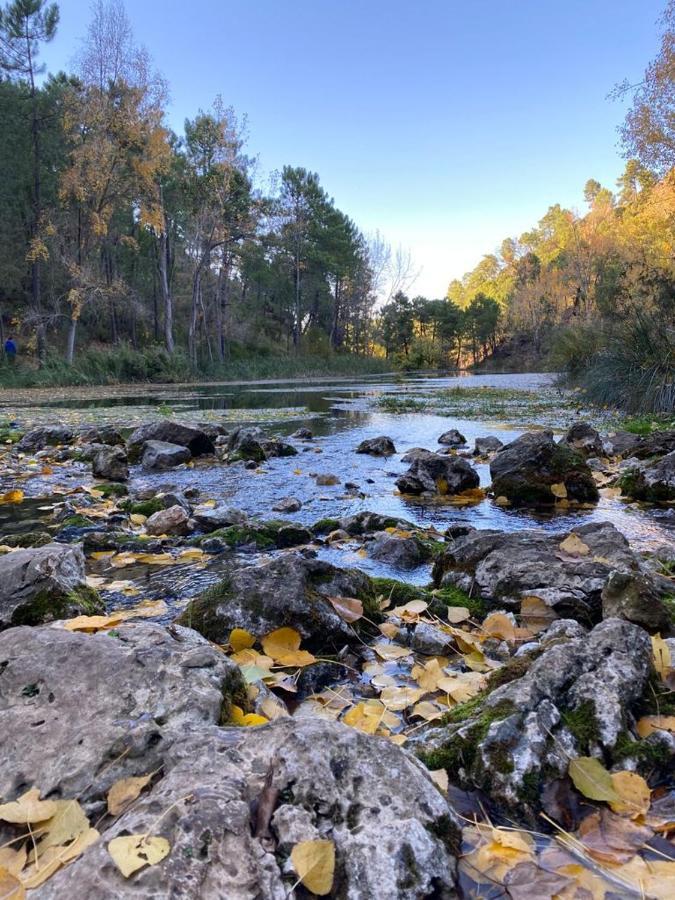 Casa Rural Las Nogueras Caserio Arroyofrio Exteriér fotografie