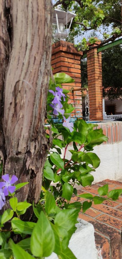 Casa Rural Las Nogueras Caserio Arroyofrio Exteriér fotografie