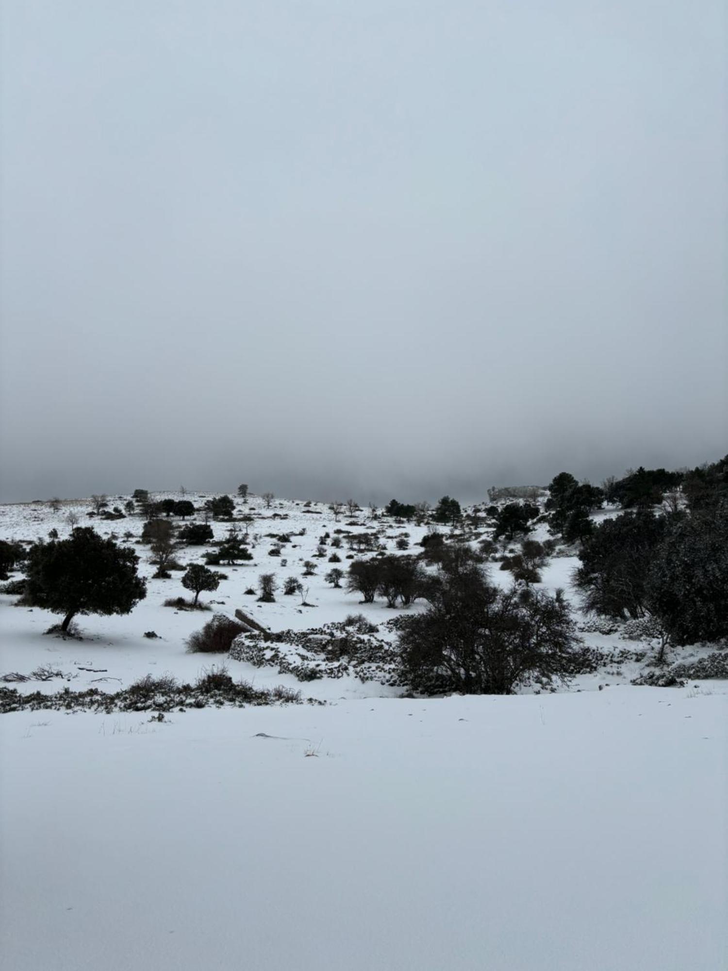 Casa Rural Las Nogueras Caserio Arroyofrio Exteriér fotografie